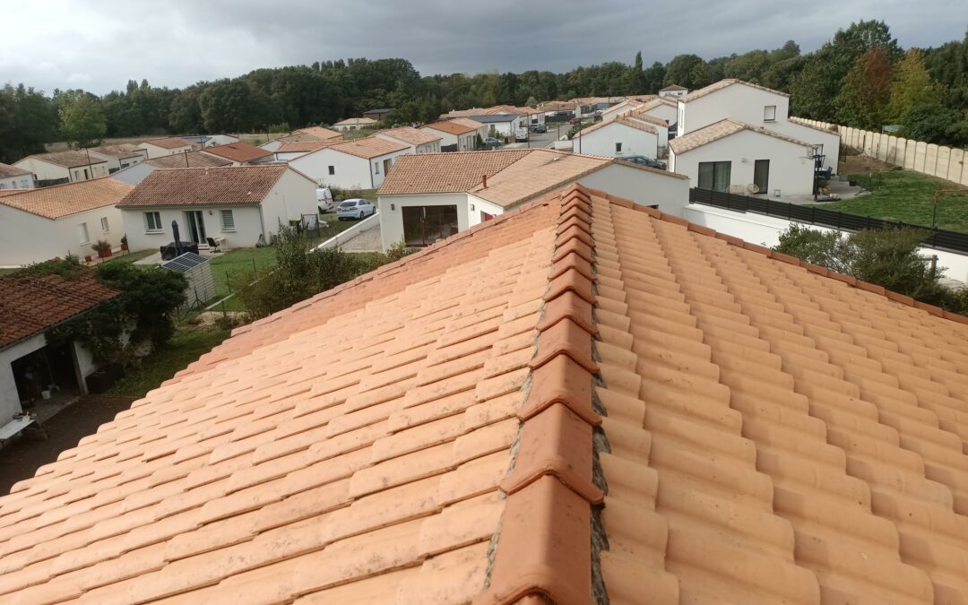 Comment protéger votre toiture à Nantes : Guide du démoussage professionnel